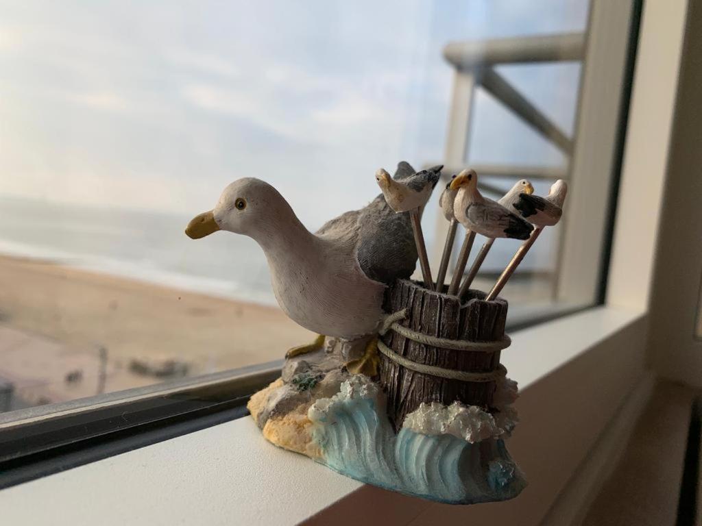 Sunny Studio With Seaview كنوك هايست المظهر الخارجي الصورة